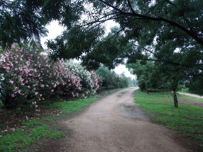 “Wind Rush” 92-96 Peak Hill Road, Parkes NSW 2870