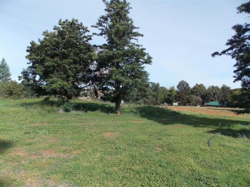 “Wind Rush” 92-96 Peak Hill Road, Parkes NSW 2870