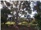 “Wind Rush” 92-96 Peak Hill Road, Parkes NSW 2870