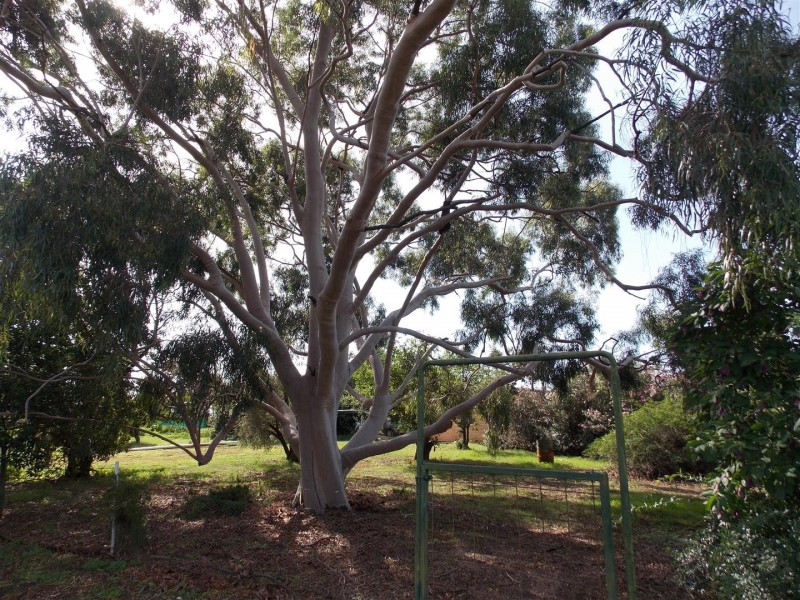 “Wind Rush” 92-96 Peak Hill Road, Parkes NSW 2870