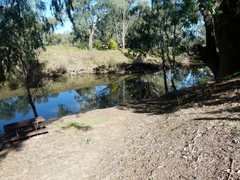 89 Bathurst Street, Forbes NSW 2871