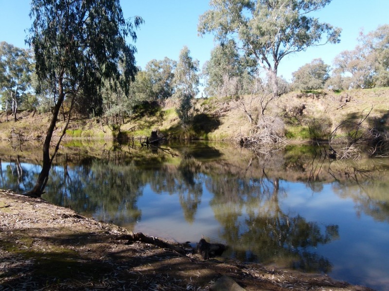 89 Bathurst Street, Forbes NSW 2871