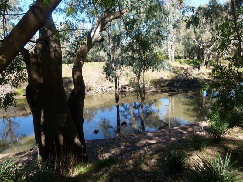 89 Bathurst Street, Forbes NSW 2871