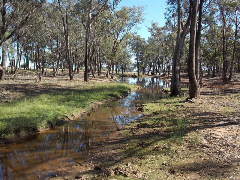 365 Whitton Park Road, Peak Hill NSW 2869