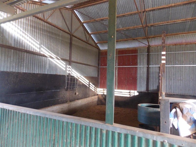 365 Whitton Park Road, Peak Hill NSW 2869