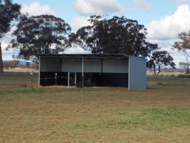 365 Whitton Park Road, Peak Hill NSW 2869