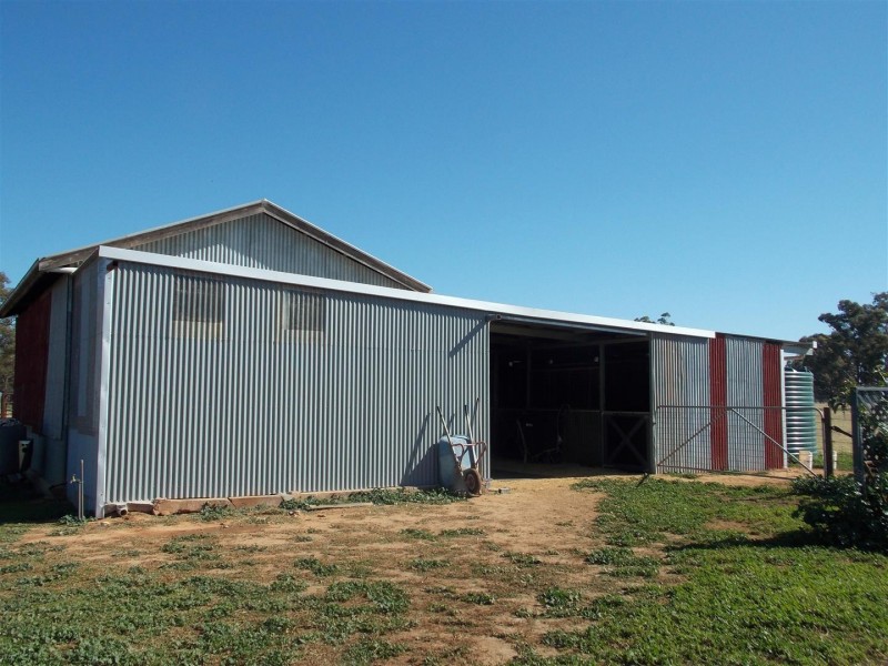 365 Whitton Park Road, Peak Hill NSW 2869