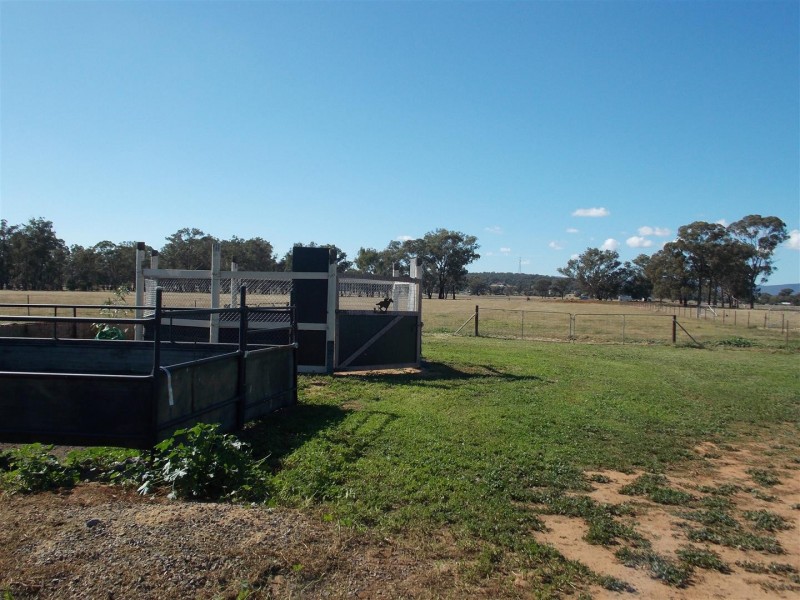 365 Whitton Park Road, Peak Hill NSW 2869