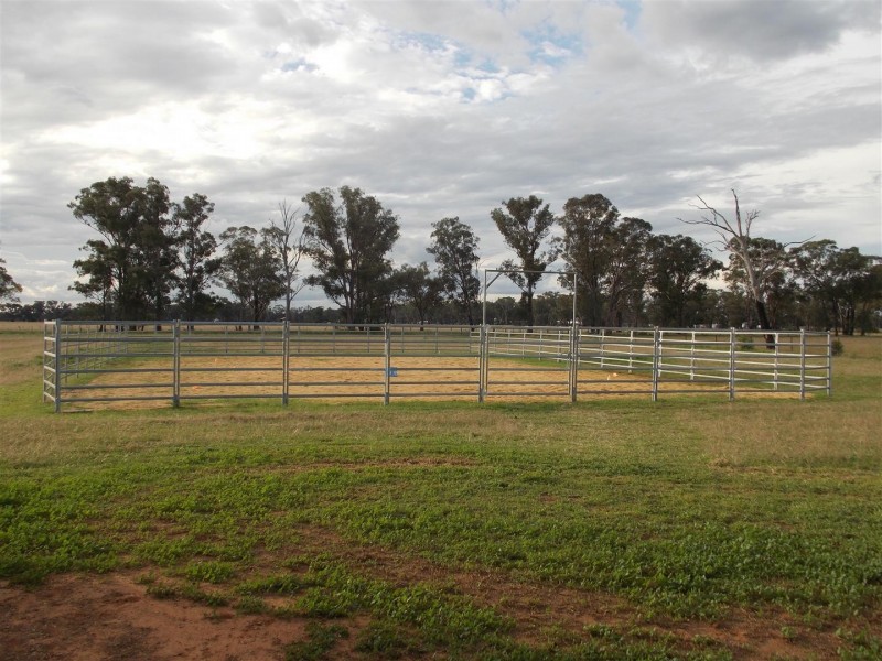 365 Whitton Park Road, Peak Hill NSW 2869