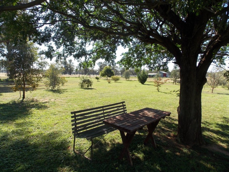 365 Whitton Park Road, Peak Hill NSW 2869