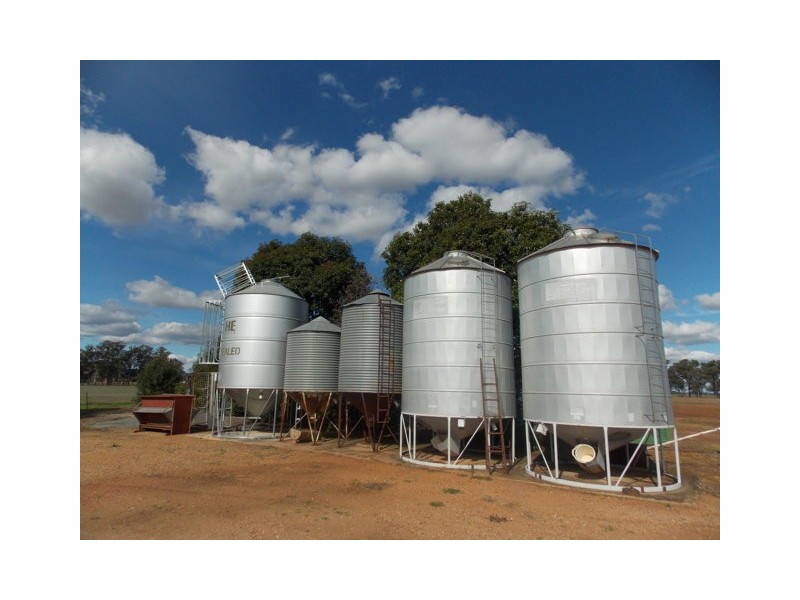 85 Station Lane “Marbill Park”, Peak Hill NSW 2869