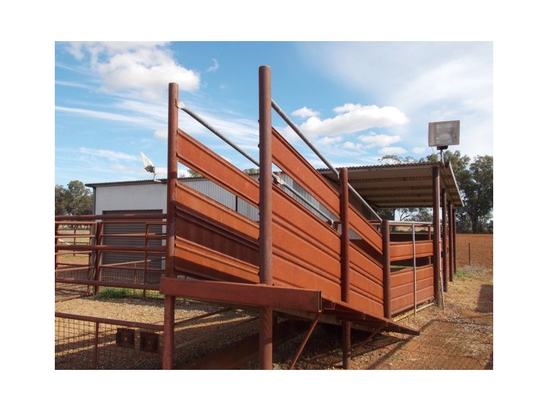 85 Station Lane “Marbill Park”, Peak Hill NSW 2869