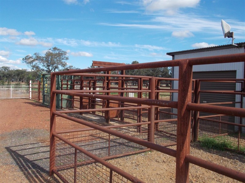 85 Station Lane “Marbill Park”, Peak Hill NSW 2869