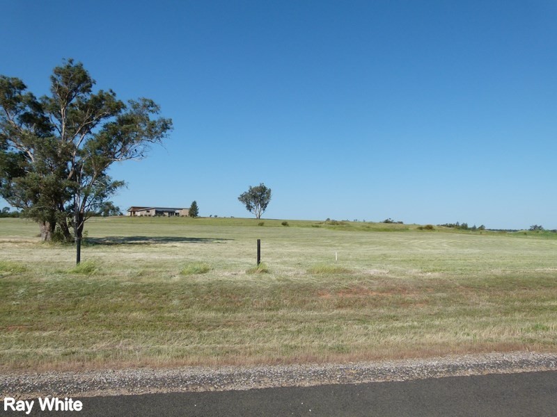 2 Bob Acheson Ave, Forbes NSW 2871