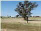 2 Bob Acheson Ave, Forbes NSW 2871