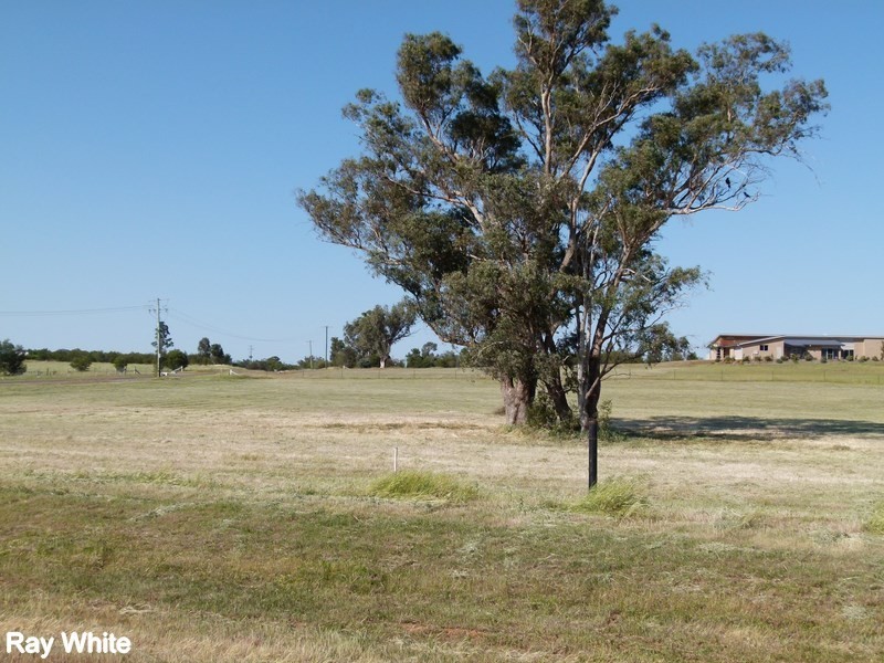 2 Bob Acheson Ave, Forbes NSW 2871