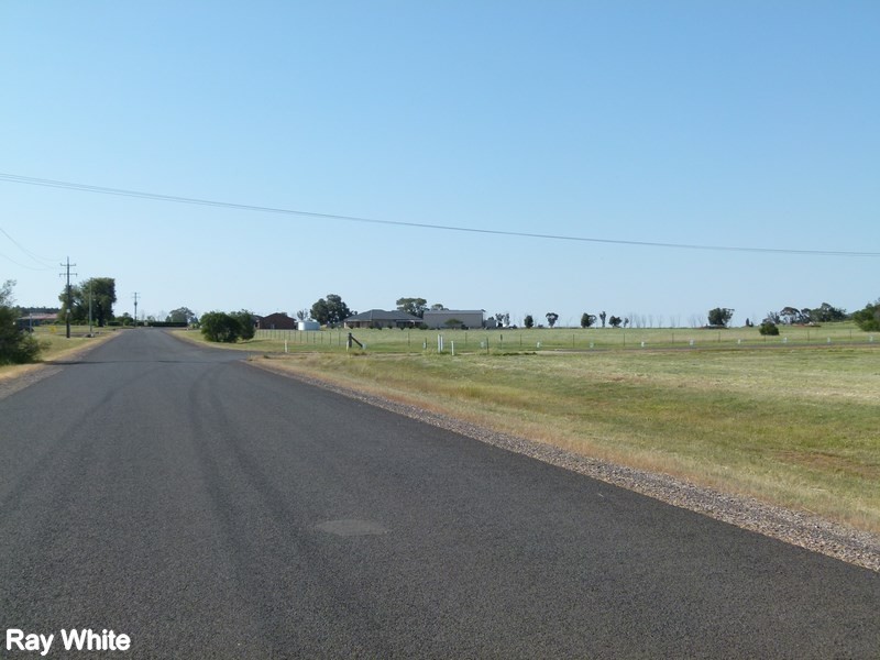 2 Bob Acheson Ave, Forbes NSW 2871