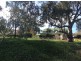 Lot 661 Goobang Creek Rd, Condobolin NSW 2877