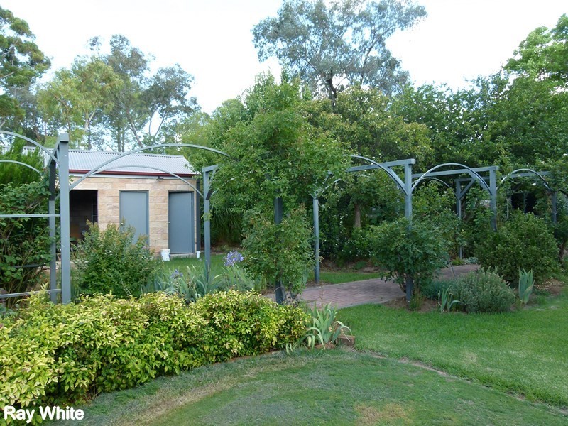 50 Reymond Street, Forbes NSW 2871