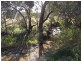 13 Pine Road, Parkes NSW 2870