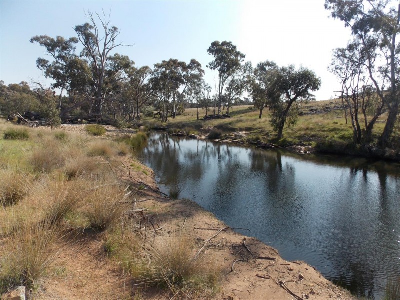 595 Bindogundra Road, Parkes NSW 2870