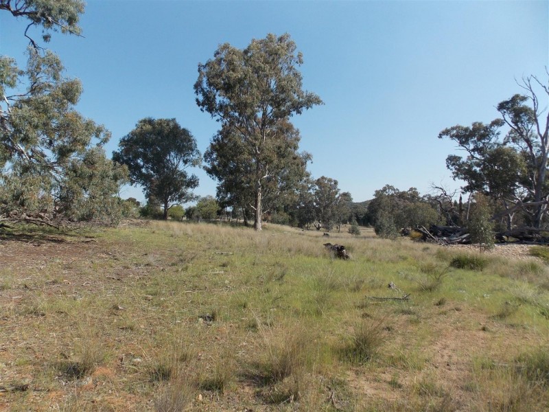 595 Bindogundra Road, Parkes NSW 2870