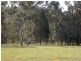 595 Bindogundra Road, Parkes NSW 2870