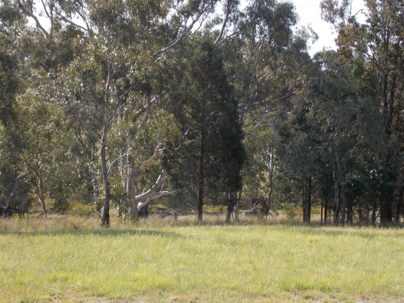 595 Bindogundra Road, Parkes NSW 2870