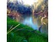 Lot 661 Goobang Creek Rd, Derriwong NSW 2877