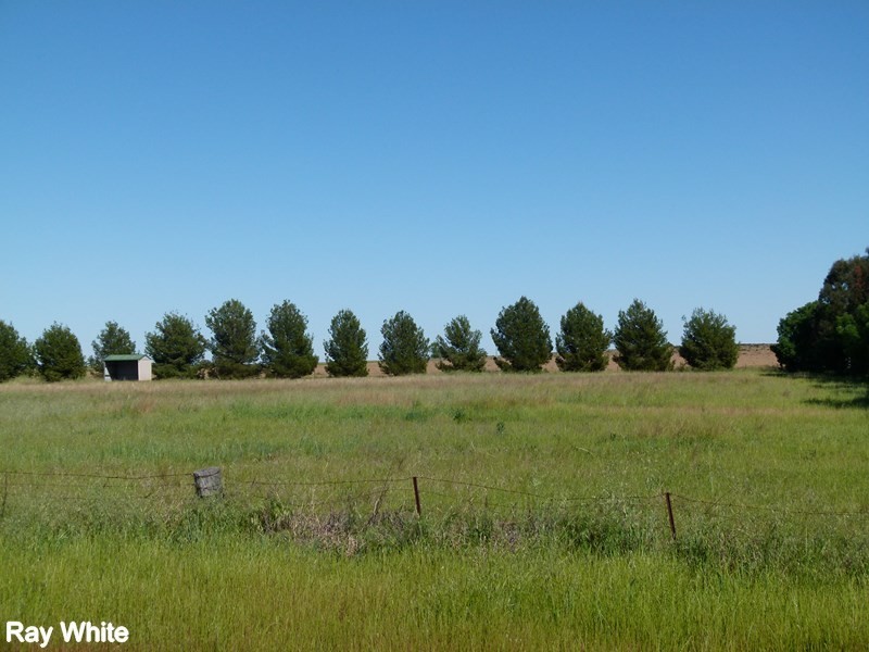 331A Calarie Road, Forbes NSW 2871