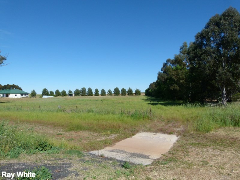 331A Calarie Road, Forbes NSW 2871