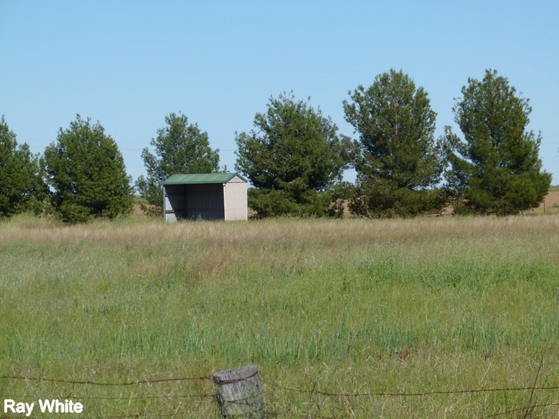 331A Calarie Road, Forbes NSW 2871