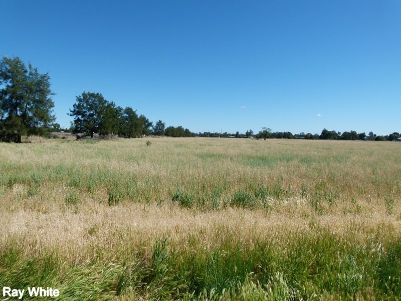 Lot739,740,741 Bathurst Street, Forbes NSW 2871