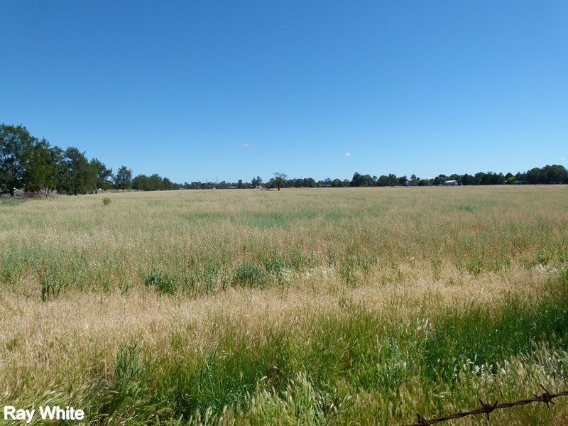 Lot675,676,677 Bathurst Street, Forbes NSW 2871