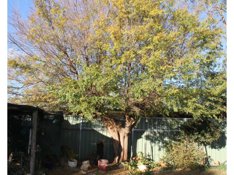 9 Mahonga Street, Condobolin NSW 2877