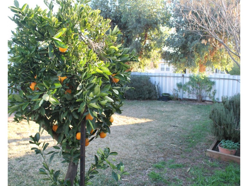 9 Mahonga Street, Condobolin NSW 2877