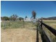 109 Pye Street “Clipity Clop”, Eugowra NSW 2806