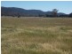 109 Pye Street “Clipity Clop”, Eugowra NSW 2806
