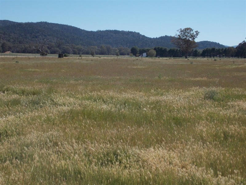 109 Pye Street “Clipity Clop”, Eugowra NSW 2806