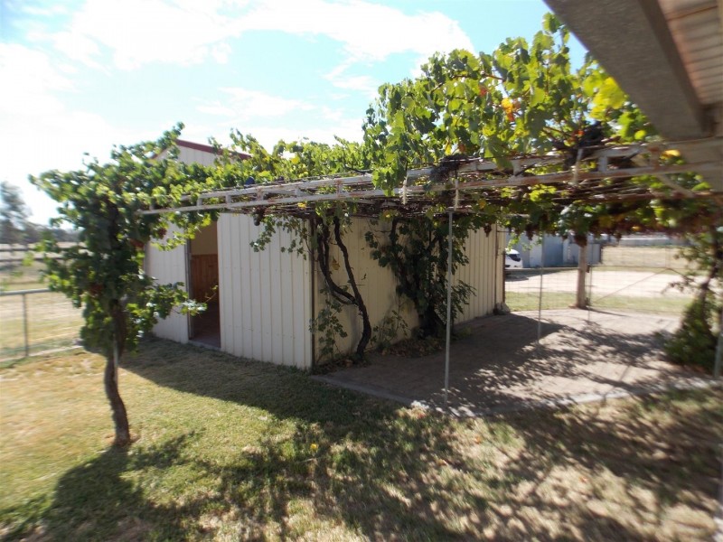 109 Pye Street “Clipity Clop”, Eugowra NSW 2806