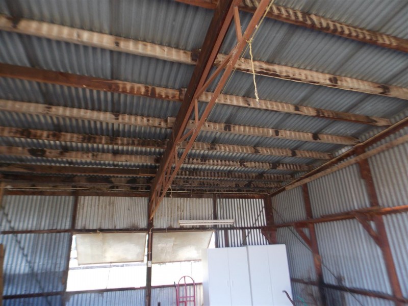 109 Pye Street “Clipity Clop”, Eugowra NSW 2806