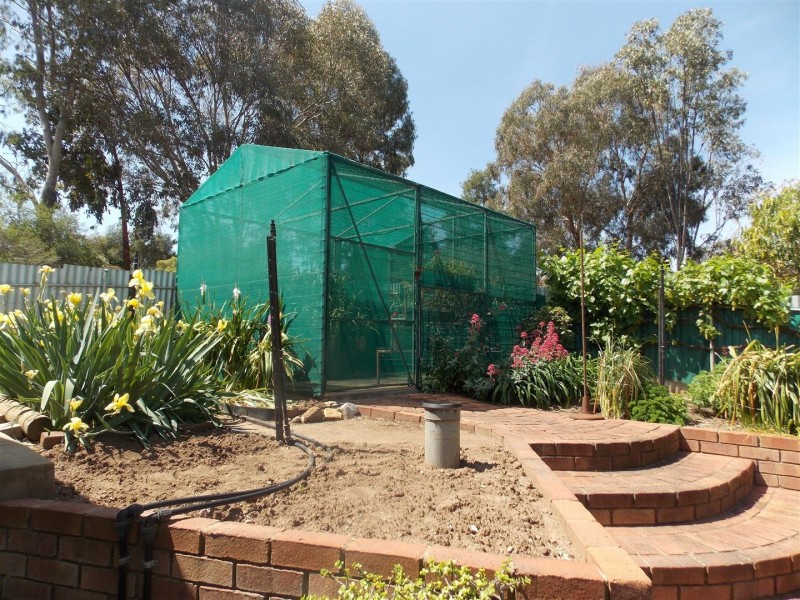 24 Wentworth Street, Parkes NSW 2870