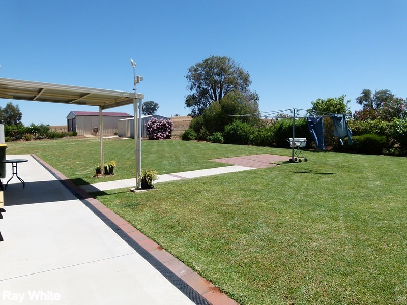 9 Bob Acheson Ave, Forbes NSW 2871