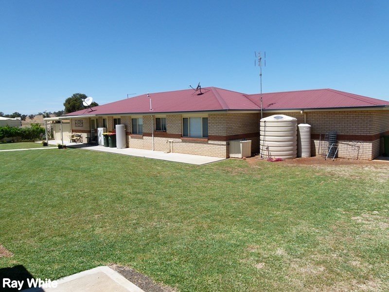 9 Bob Acheson Ave, Forbes NSW 2871