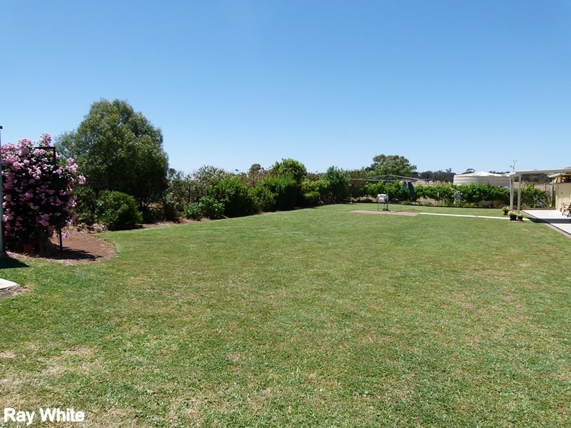 9 Bob Acheson Ave, Forbes NSW 2871