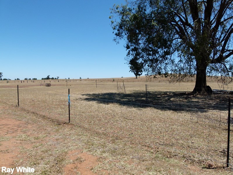 9 Bob Acheson Ave, Forbes NSW 2871