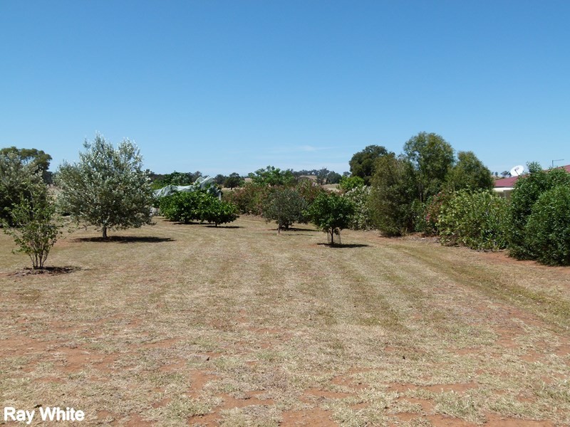 9 Bob Acheson Ave, Forbes NSW 2871