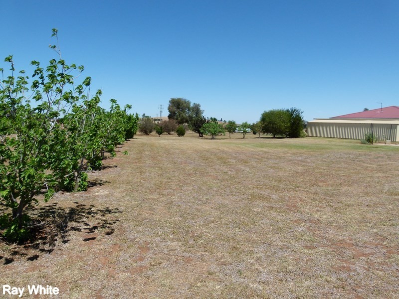 9 Bob Acheson Ave, Forbes NSW 2871