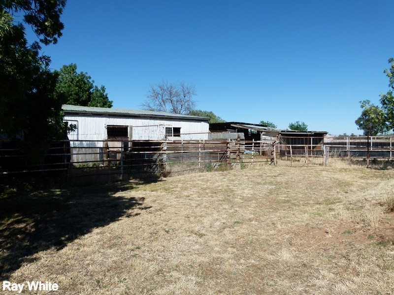 29-31 Show Street, Forbes NSW 2871