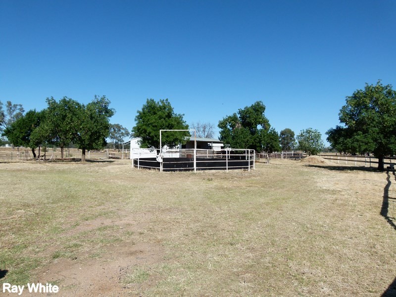 29-31 Show Street, Forbes NSW 2871